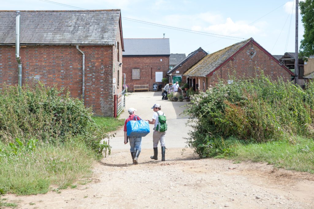People Walking Around WhitePepper Buildings